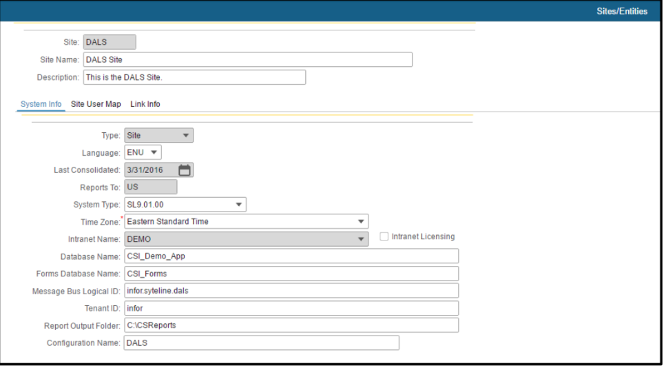 Example of a demo form showing a site-specific setup in the Infor Multi-Asset Management software